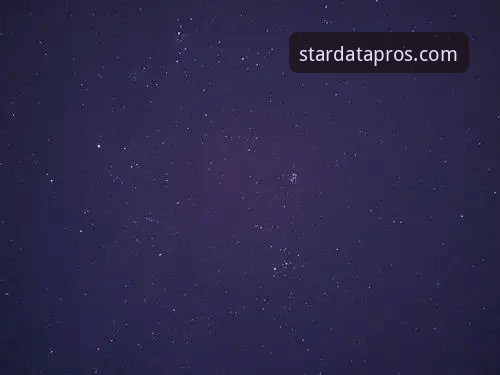 为什么说星空体育专业版是数据分析师的首选工具？